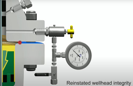 Novel wellhead sealing for production wells