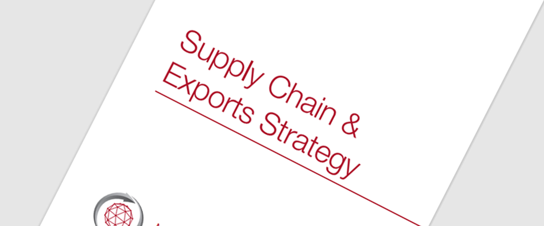 Supply Chain Exports Strategy Cover (2)